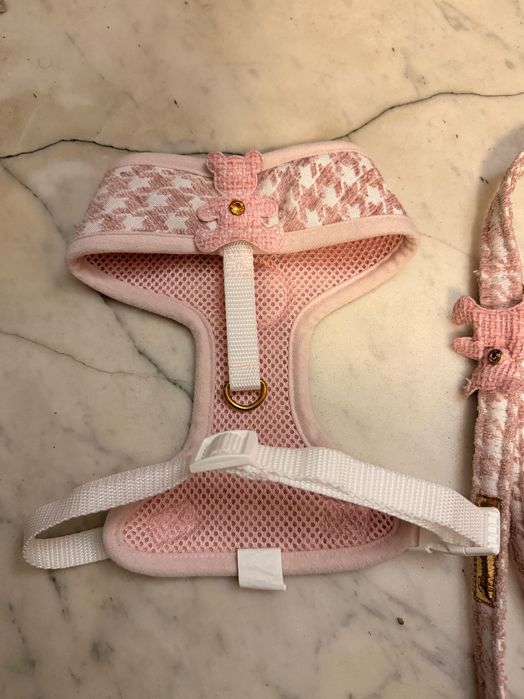 Royal Puppy Ferline szelki bezuciskowe M + smycz