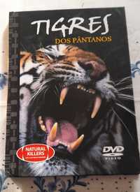 DVD tigres do pântano