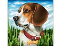 Haft Diamentowy Mozaika Diamentowa PIES BEAGLE 30x30cm