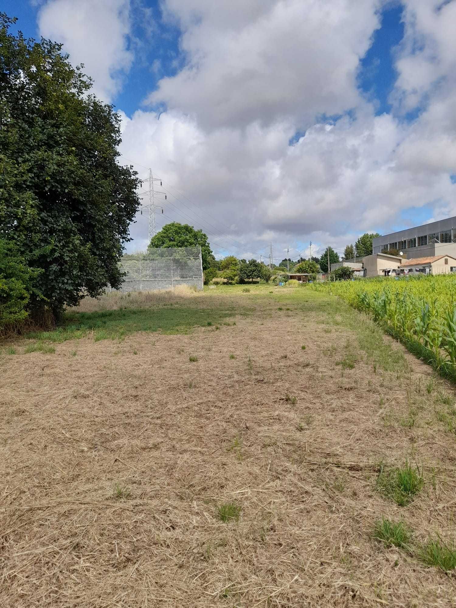 Terreno p/ construção 1300m Espinho