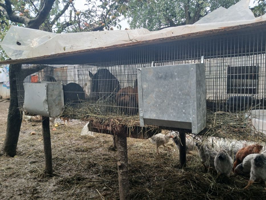 Продам клетки самовивіз