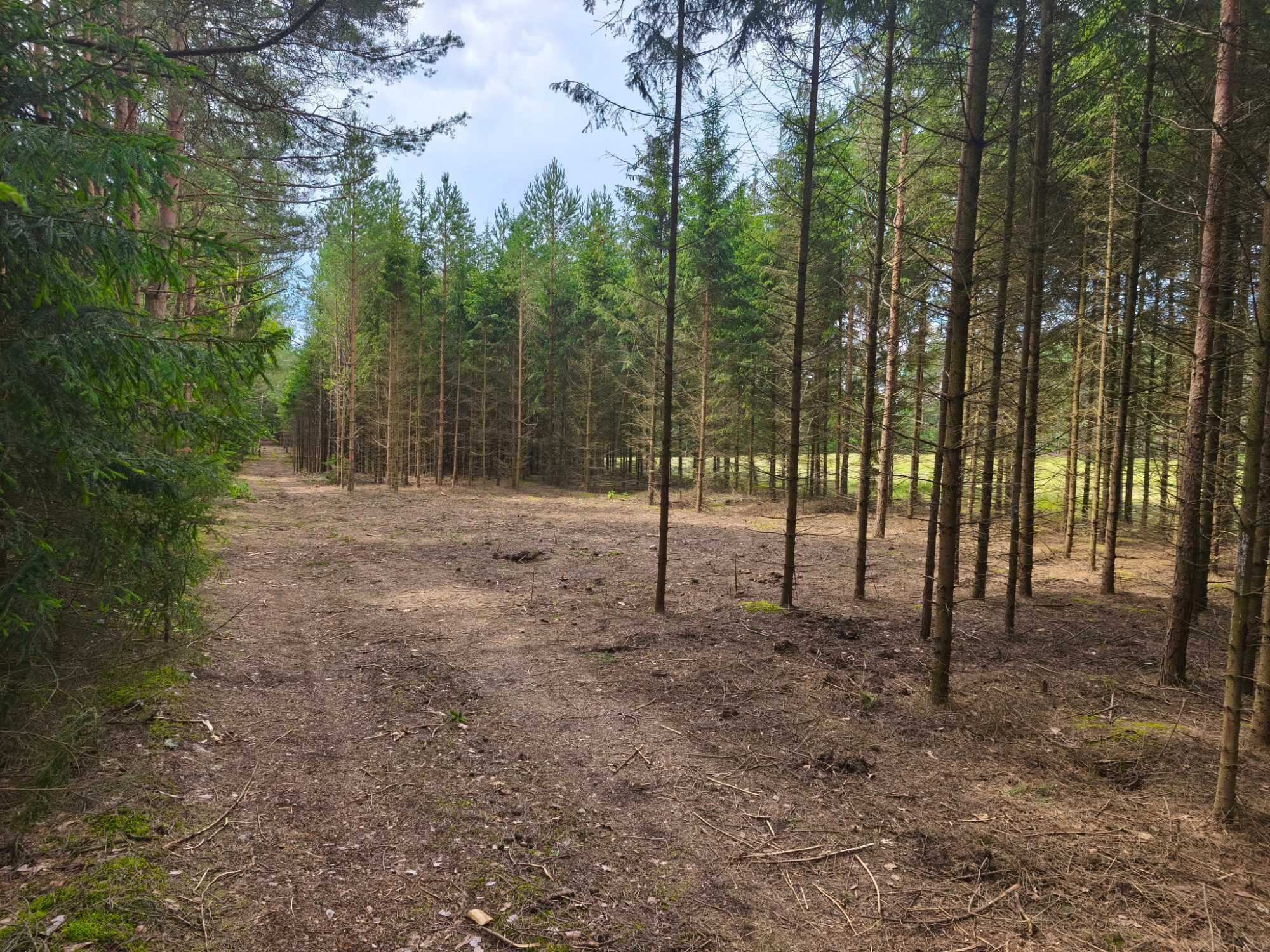 Działka 4000 m²–Szczebra, serce Puszczy Augustowskiej | WZ