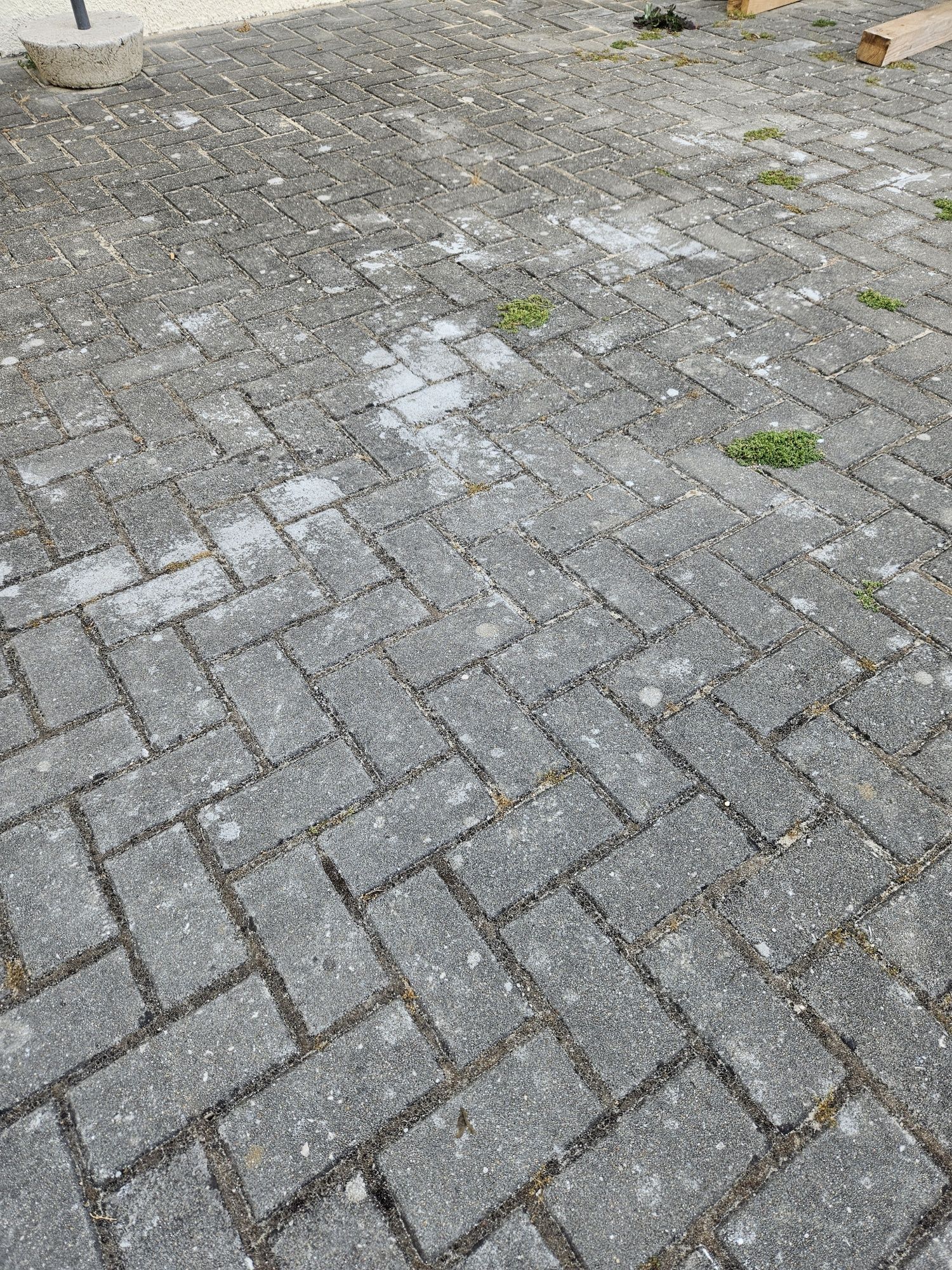 Pavês bloco pavimento 50m2
