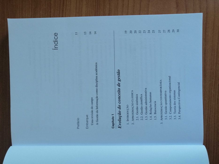 Livro Novos Desafios da Gestão da Informação - José Rascão