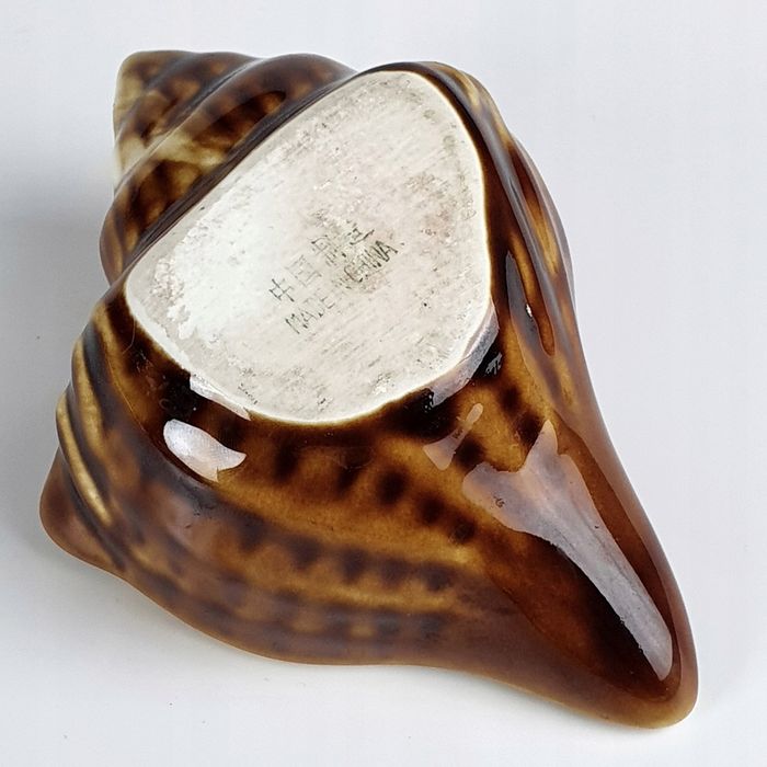 Muszla Piękna Chińska Popielniczka