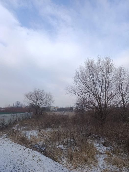 Чистка Участков Обрезка Деревьев Черновцы