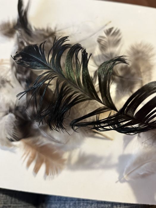 Пірʼя для декору , для декорування смолою