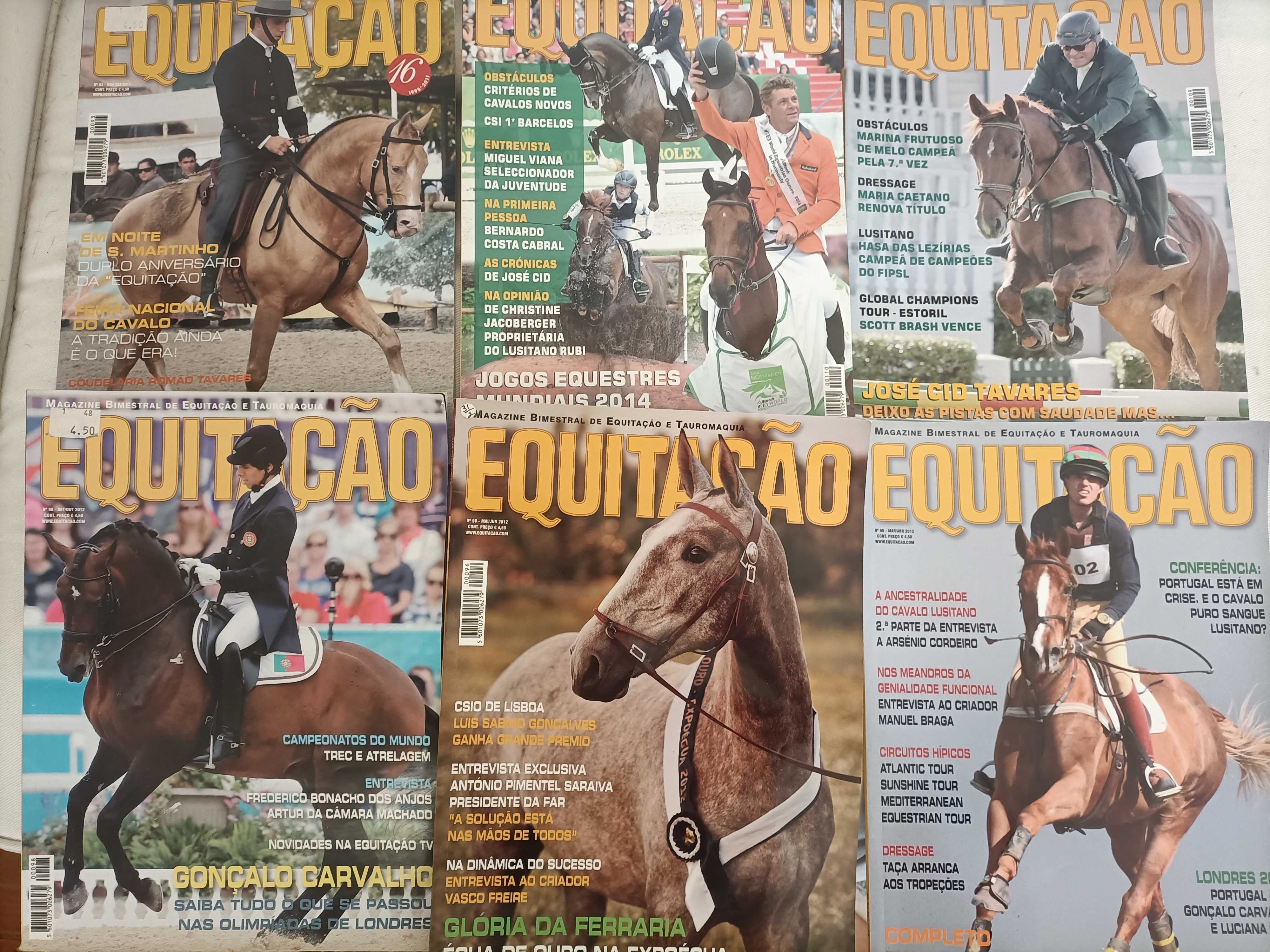 Lote 45 Revistas Equitaçao Cavalos