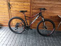 Rower Bulls 27.5