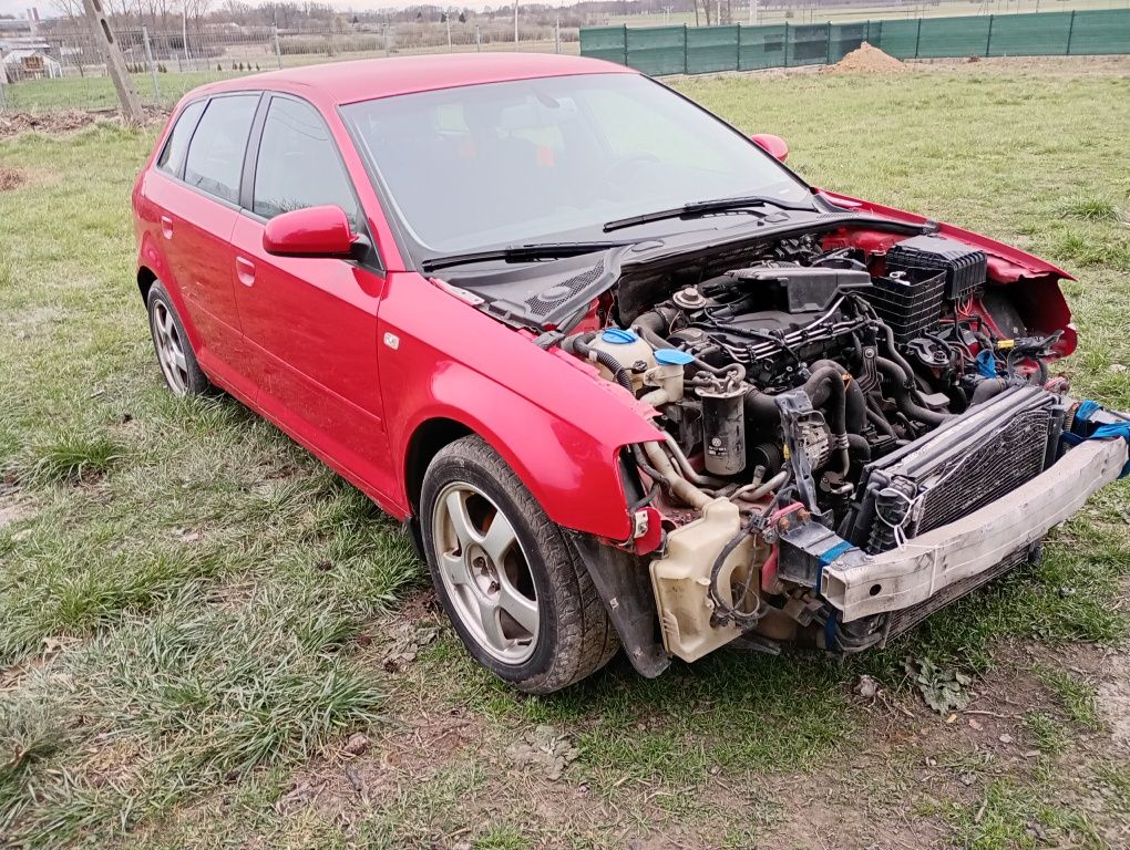 Audi A3. 8P   1.9 TDI .