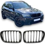 Решітки радіатора BMW X3 F25 (10-14) ноздрі решетки решетка