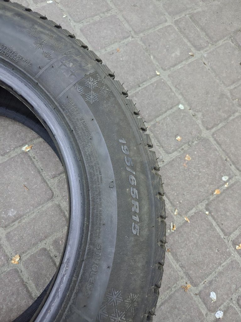 Nexen 195.65 r15 зима