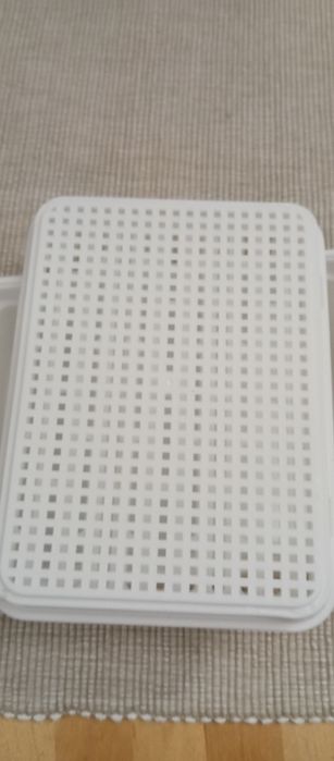 Caixa erva gatos e cães