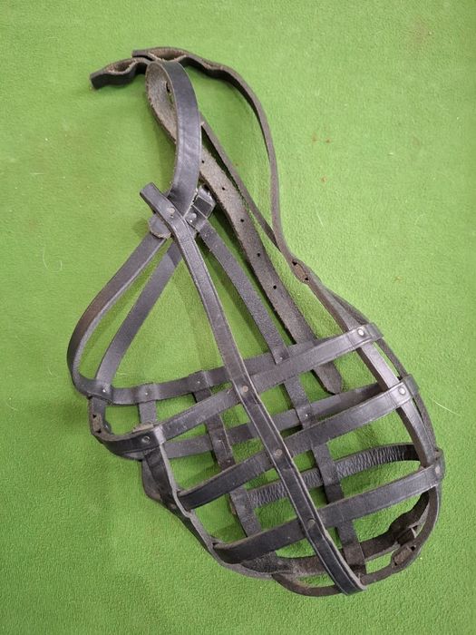 Karma dla psa + gratisy