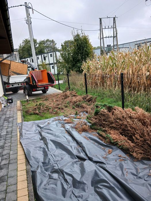 Usługi rebakiem wycinka średnich drzew