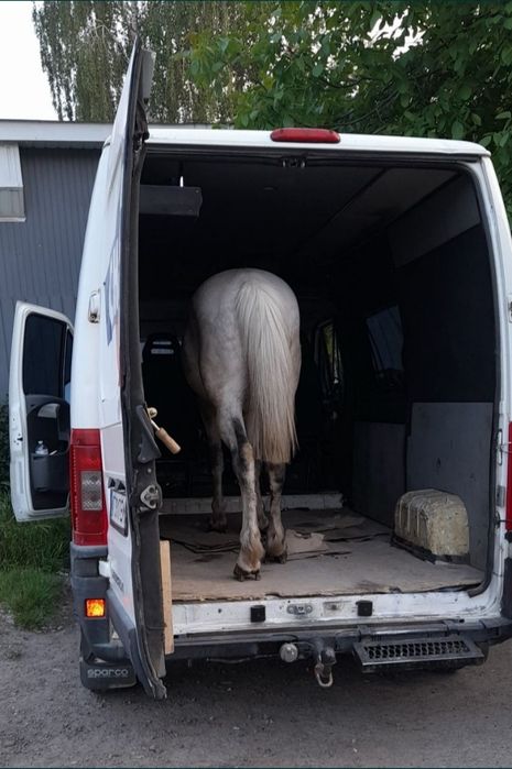 Вантажні перевезення. 5пасажирів. Водій - експедитор, вантажник.