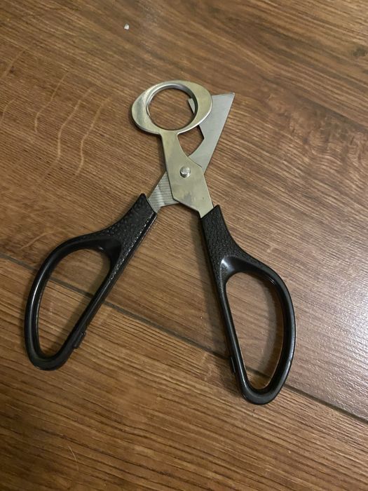 Jaja jajka przepiórcze konsumenckie i lęgowe Ekologiczene