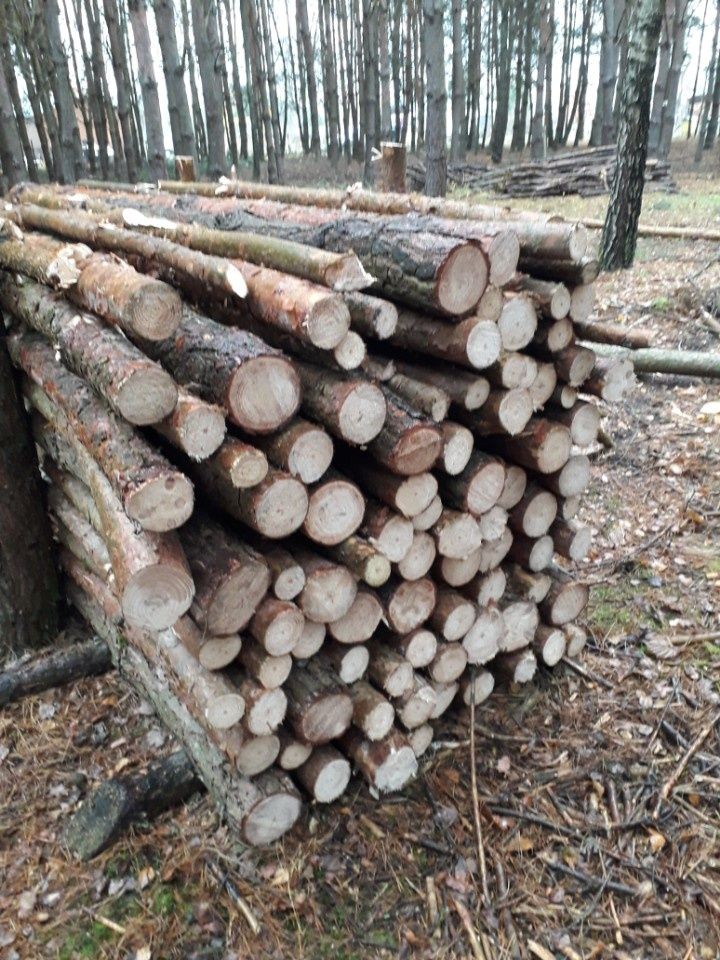 OKAZJA. Drewno opałowe sosnowe.