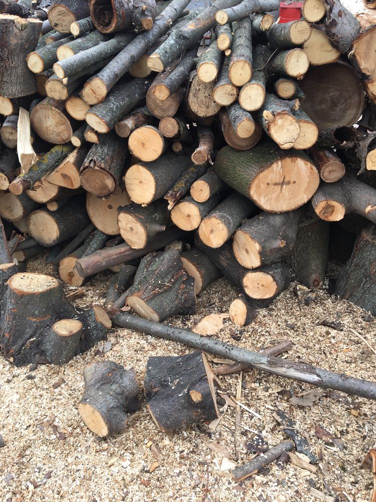 Липа для здоров’я дрова колоті і метровки
