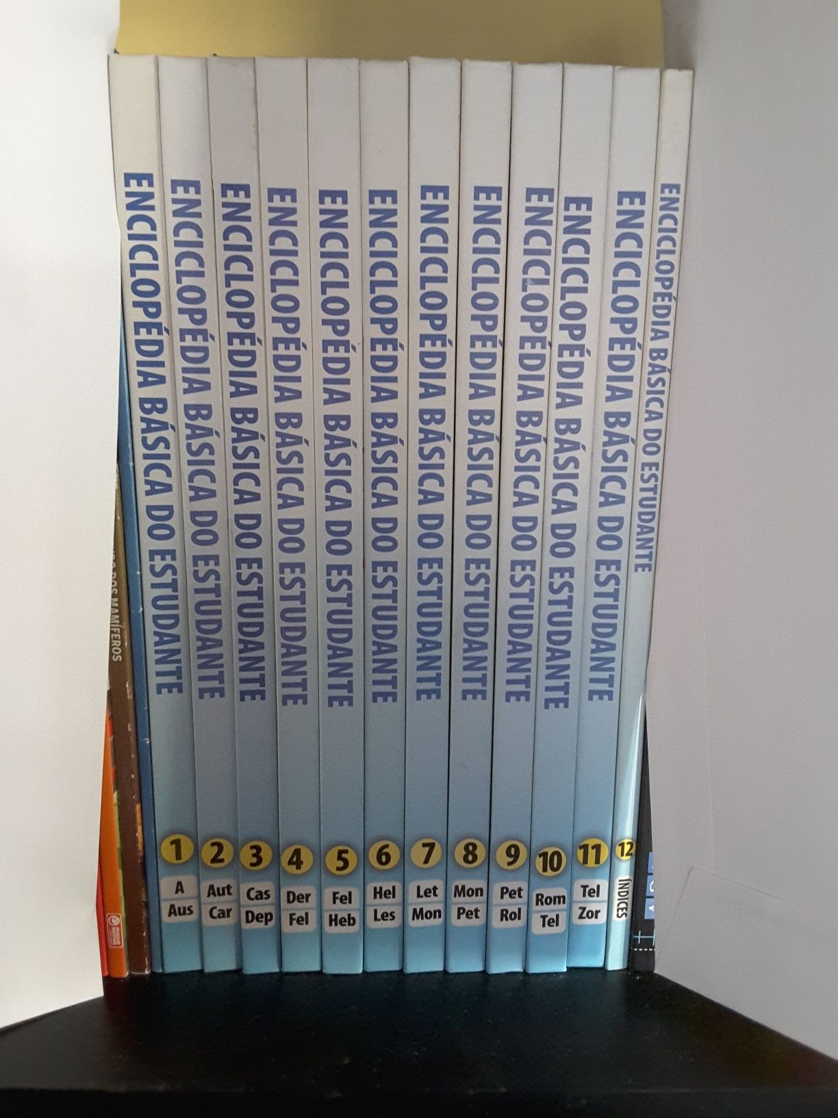 Enciclopédia Básica do estudante - 12 volumes - Nova
