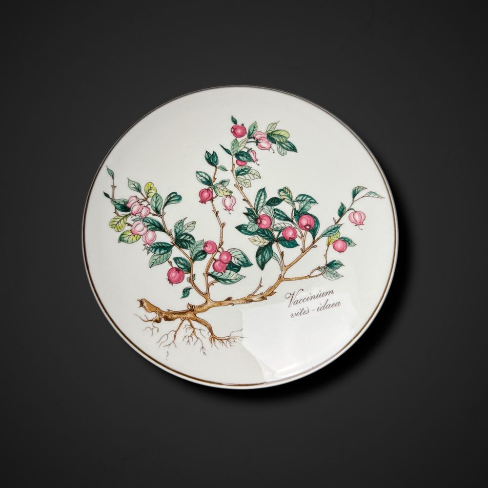 Puzderko botanica Villeroy & Boch Luxembourg borówka B51/042623