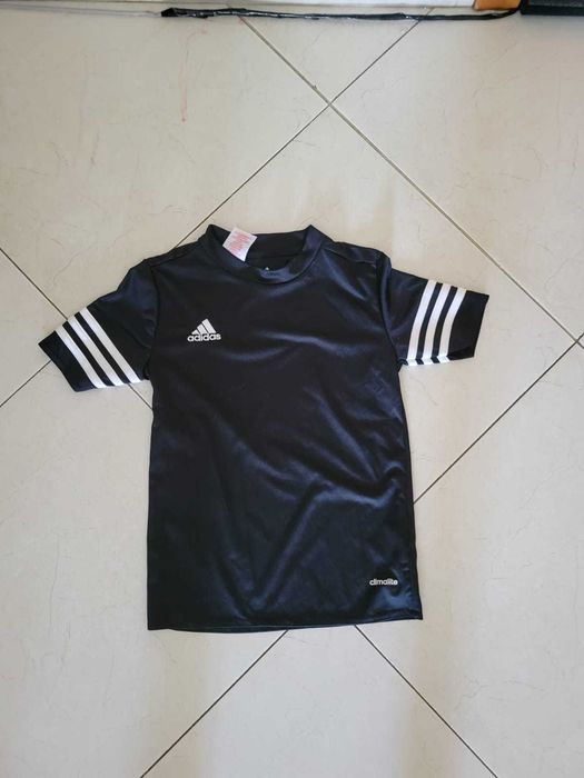 Conjunto de 5 t-shirts