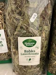 babka lancetowata zioła dla gryzoni GRUBY KOCUR sklep zoologiczny