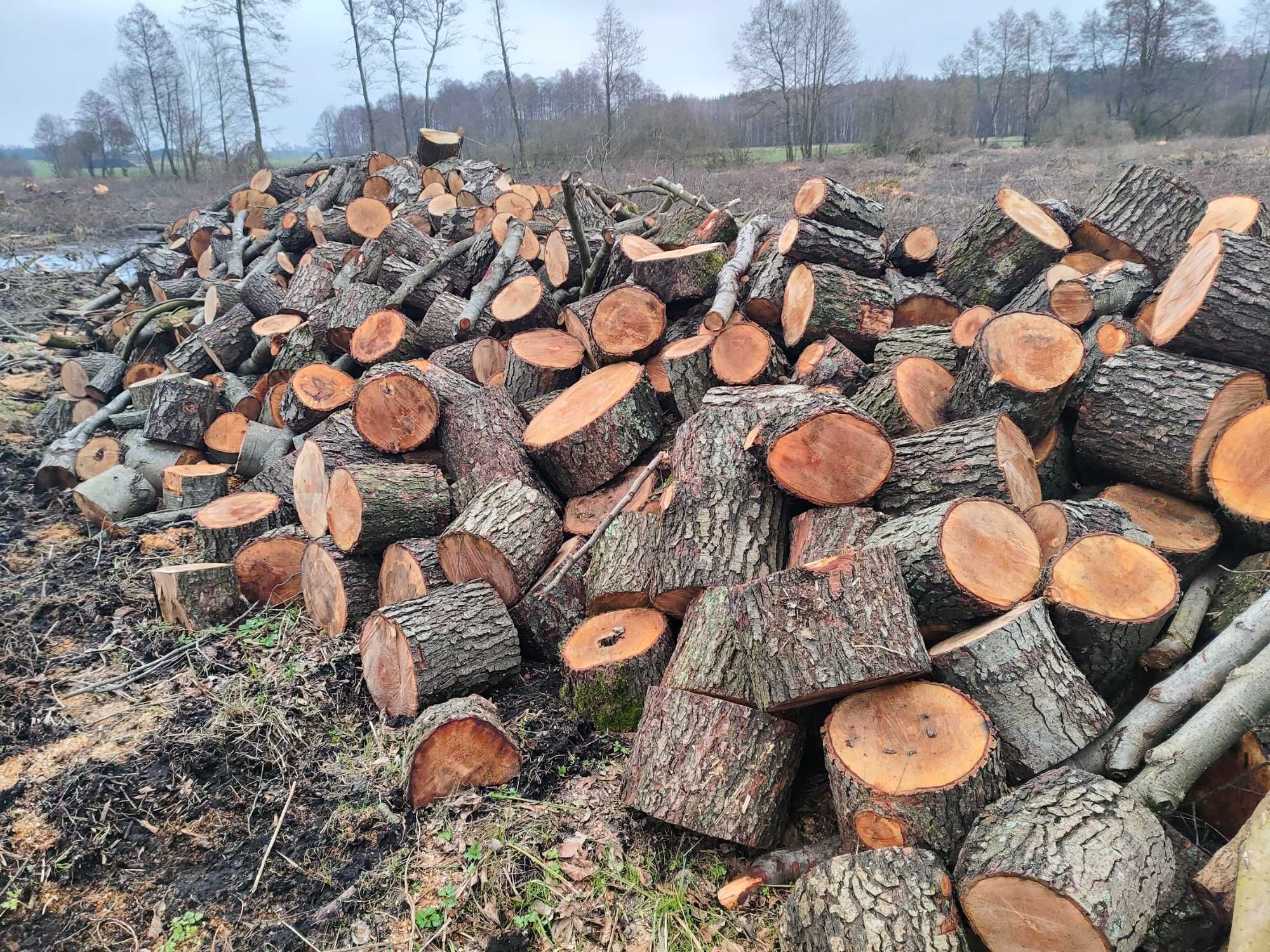 Drewno opałowe, kominkowe, olcha