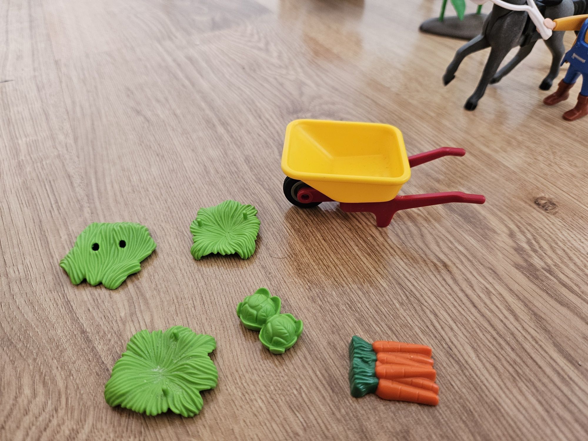 Playmobil farma, gospodarstwo