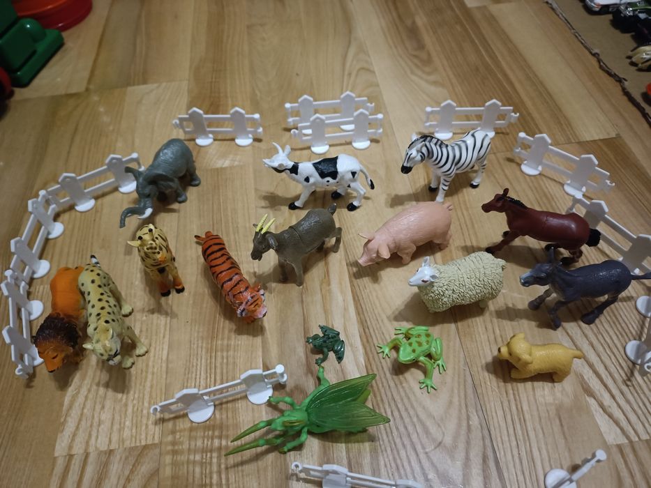 Zagroda, zwierzęta domowe i egzotyczne