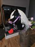 Konik Hobby horse A4