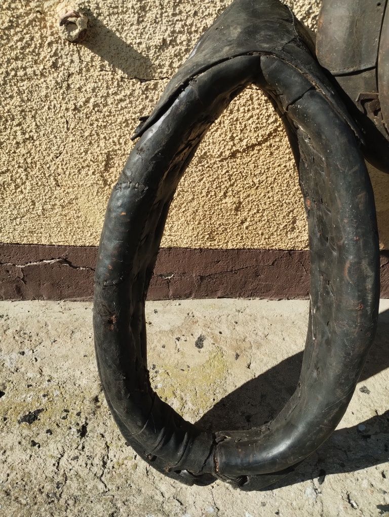 Homonta i podkład dla konia