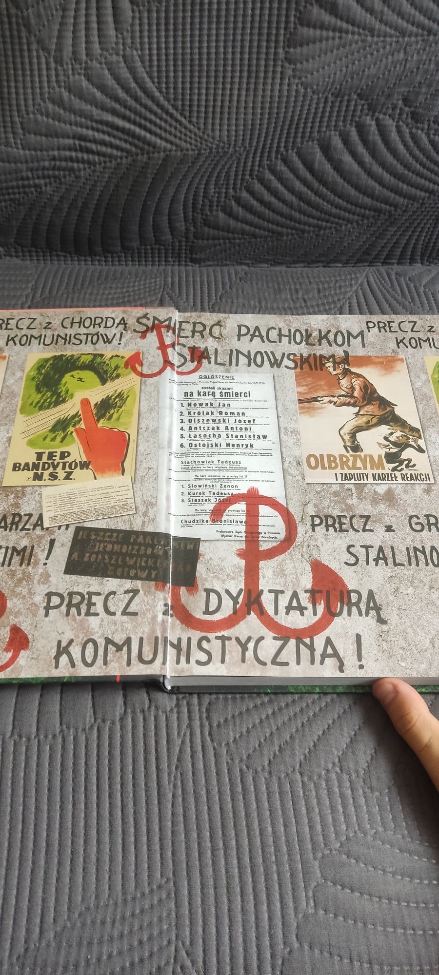 "Zaplute karły reakcji" - Książka