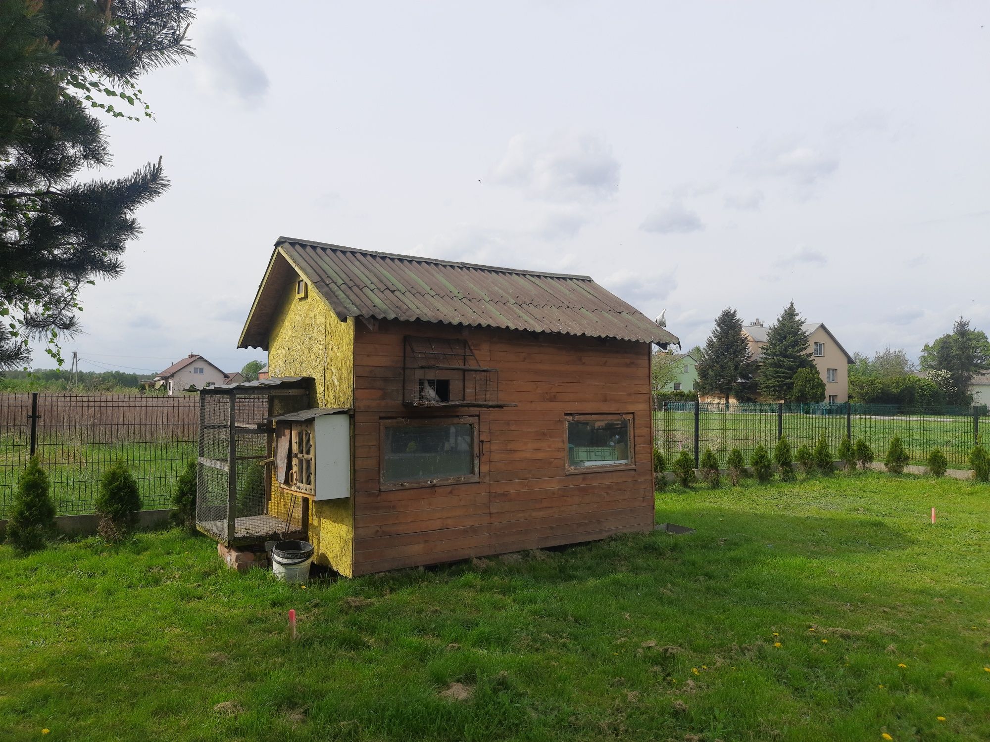 Golebnik/domek narzędziowy