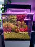 Akwarium 43l kostka 35x35 / HT / Premium roślinne / ZESTAW! * *