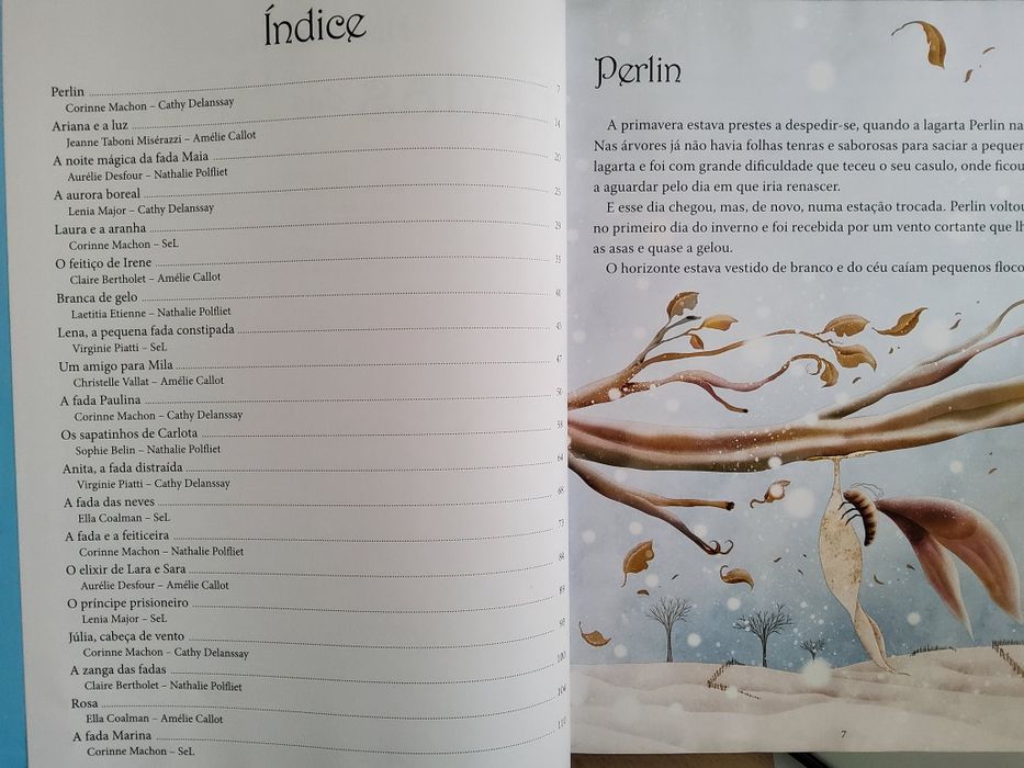 Livro Histórias das Fadas das Neves NOVO