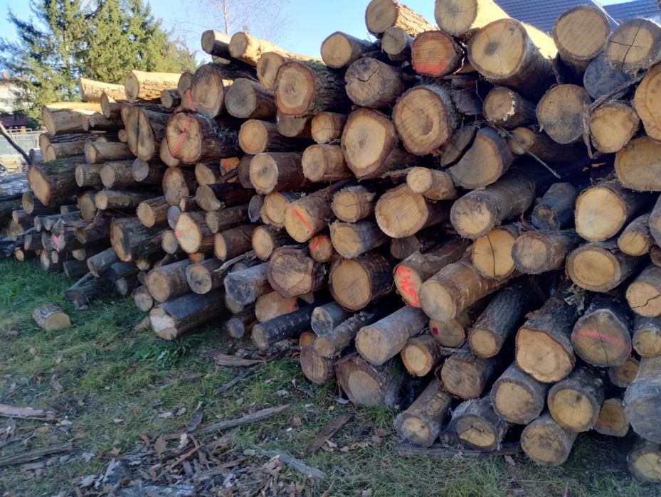Drewno opałowe cięte na wymiar dąb, brzoza