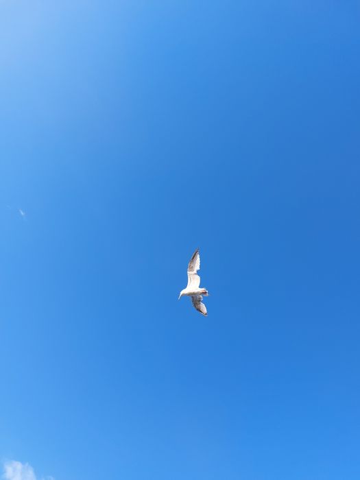 Paka ubranek damskich XS-S-M dla osób potrzebujących