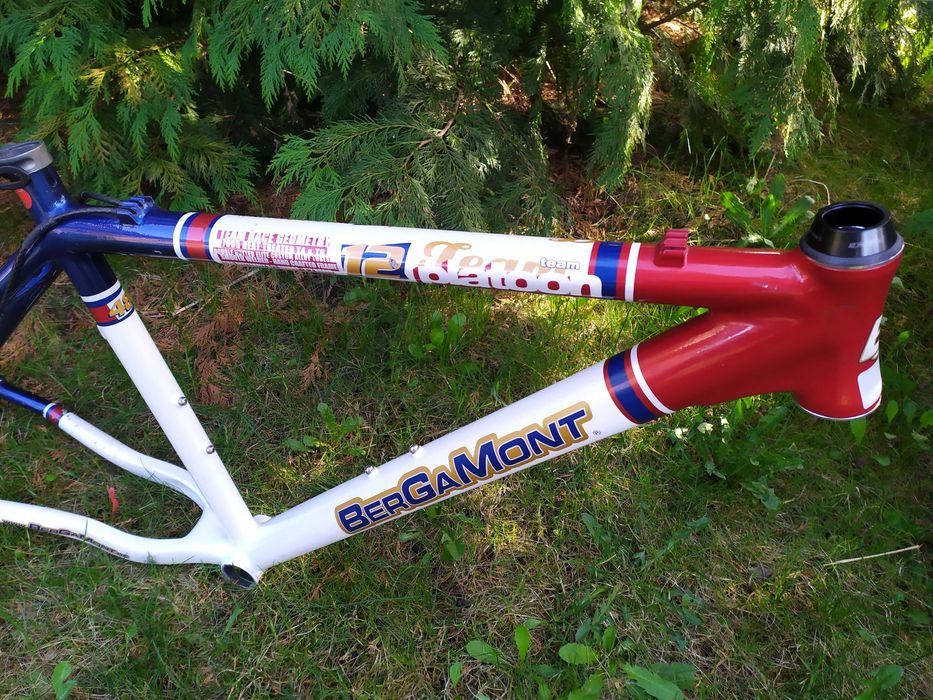 BERGAMONT PLATOON TEAM rama Alu Roz.19  Elite Custom Alloy FSA Polecam