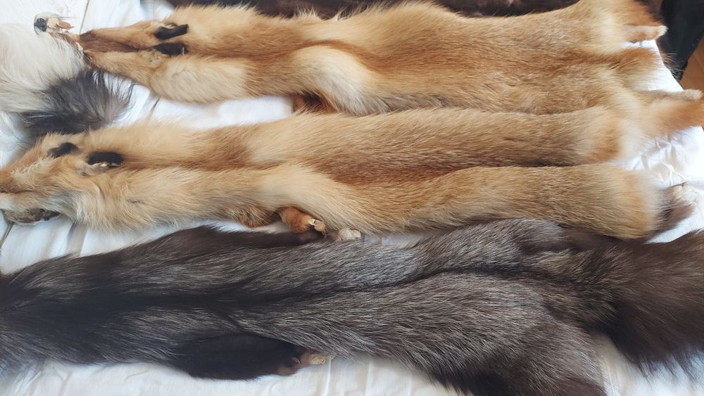 Хутро натуральне для шуби або на комір