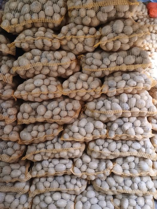 Ziemniaki jadalne Soraya, Queen Anna