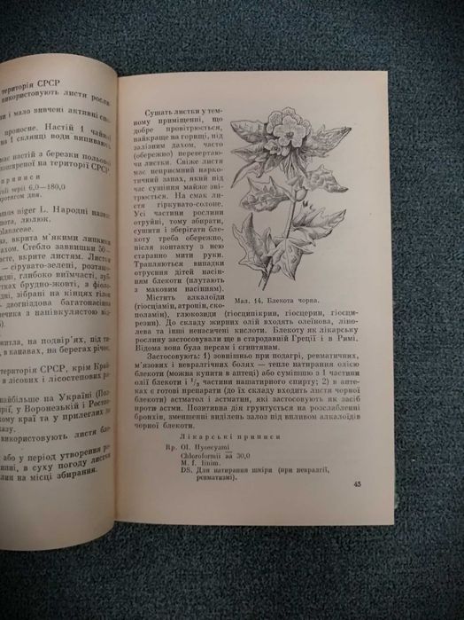"Лікарські рослини і їх застосування в народній медицині"