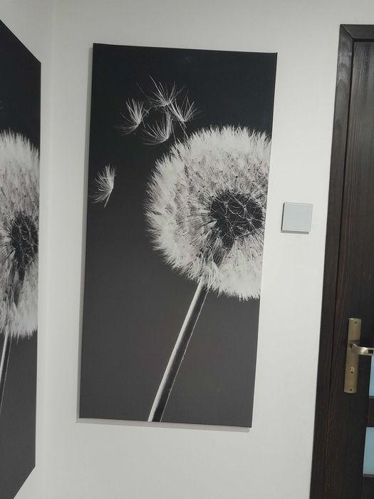 Obraz na płòtnie obrazy dmuchawce