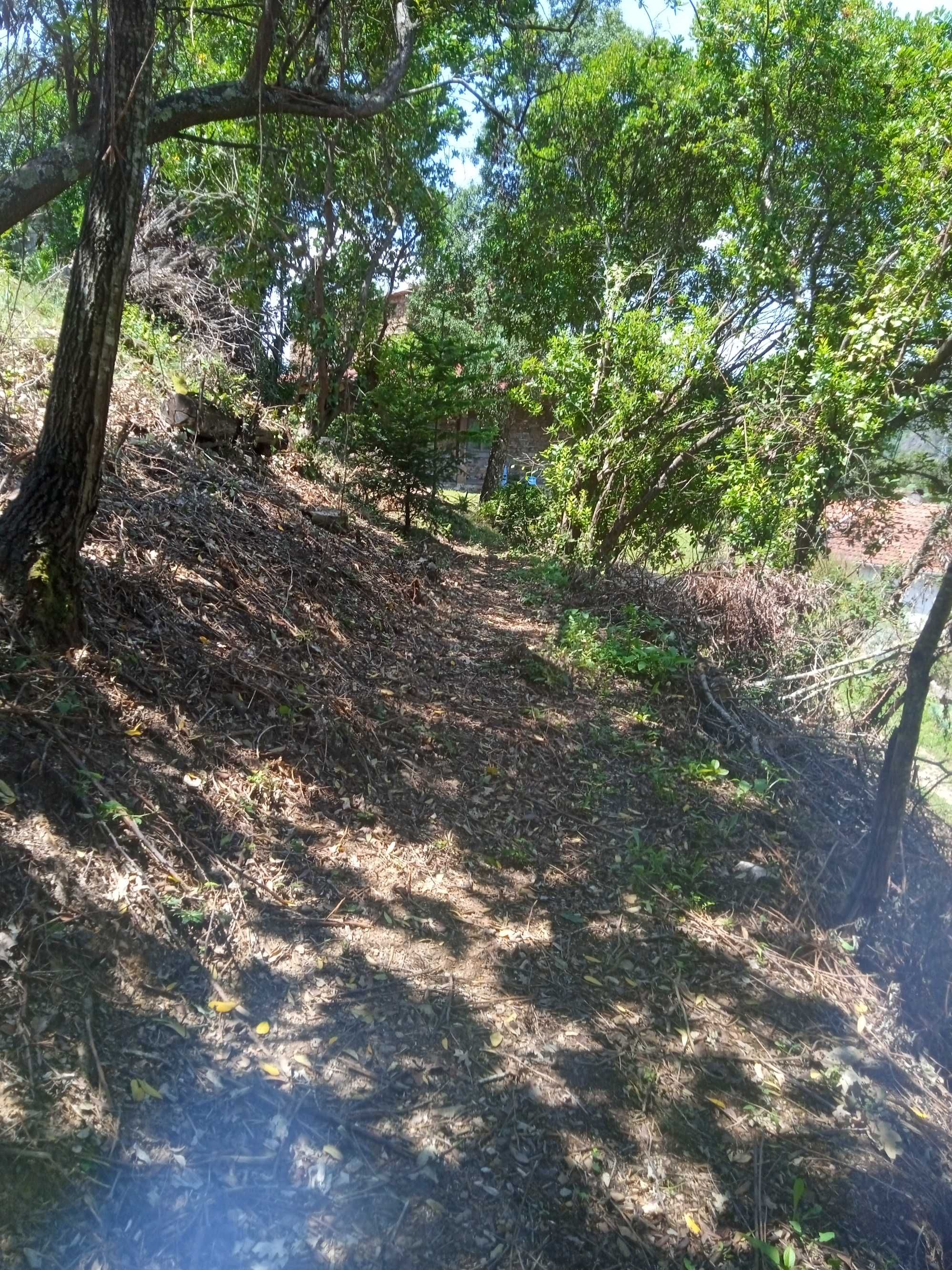 Terreno com vista Rio Douro