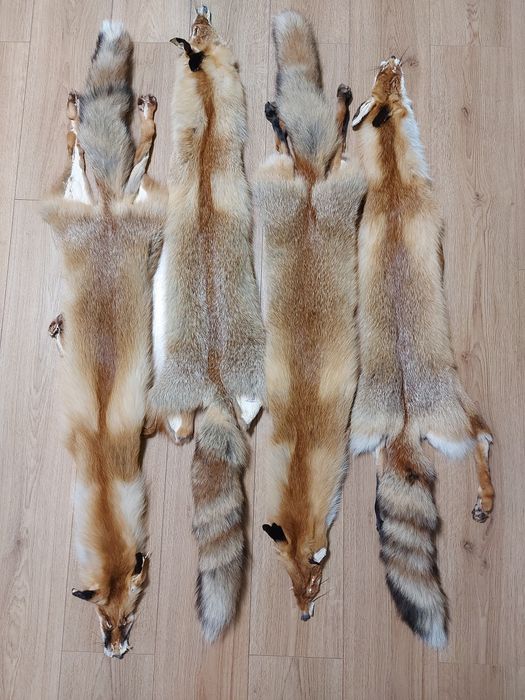 Хутро лиса, шкури лисиці