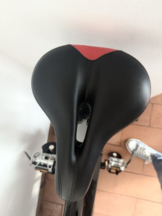 Bicicleta ergometrica