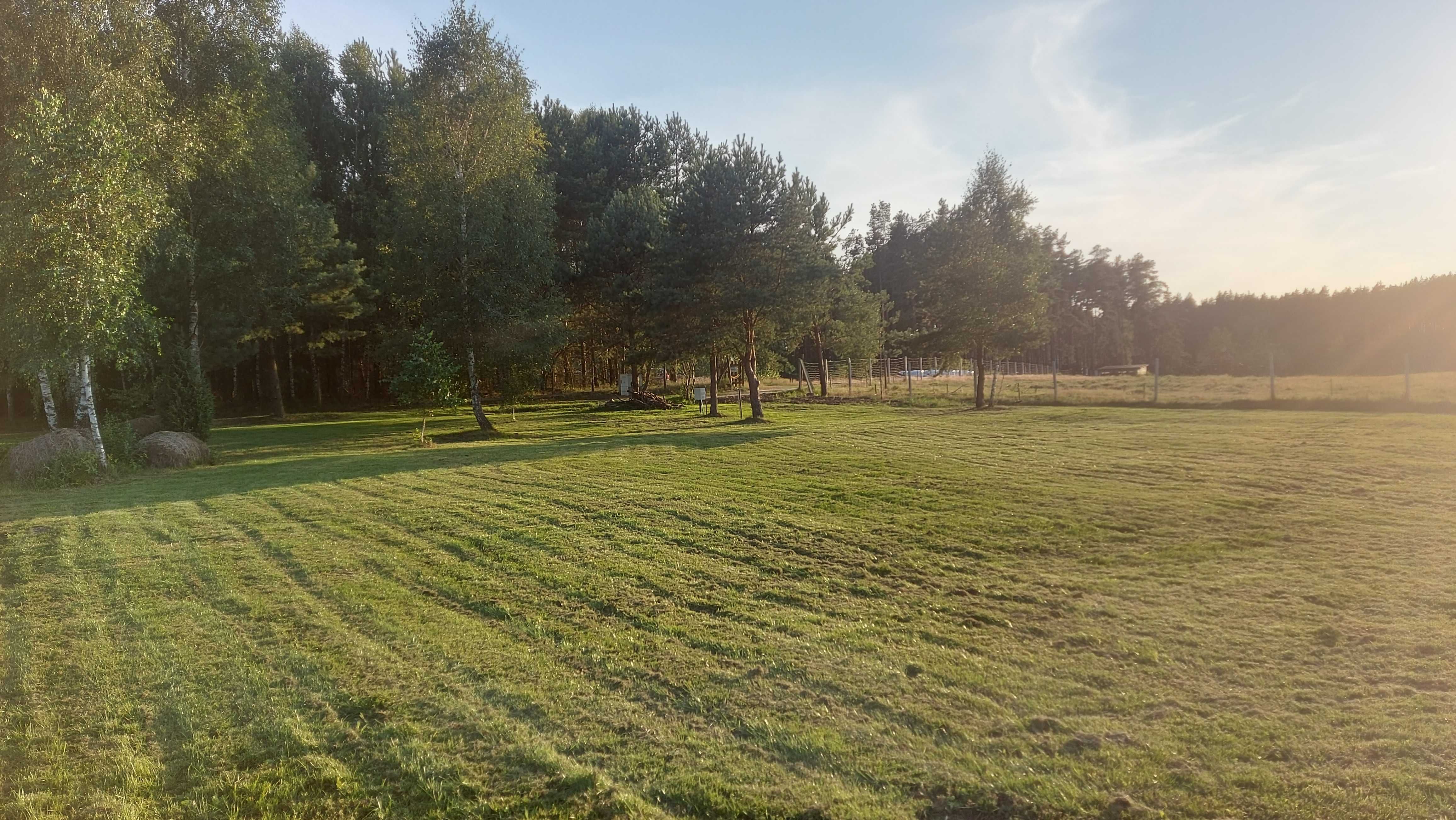 Pole kempingowe Wiele