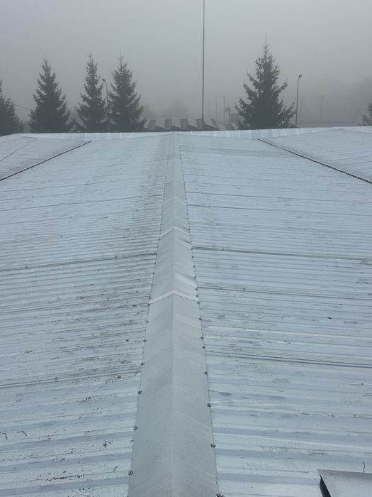 Відновлення та частковий ремонт покрівлі