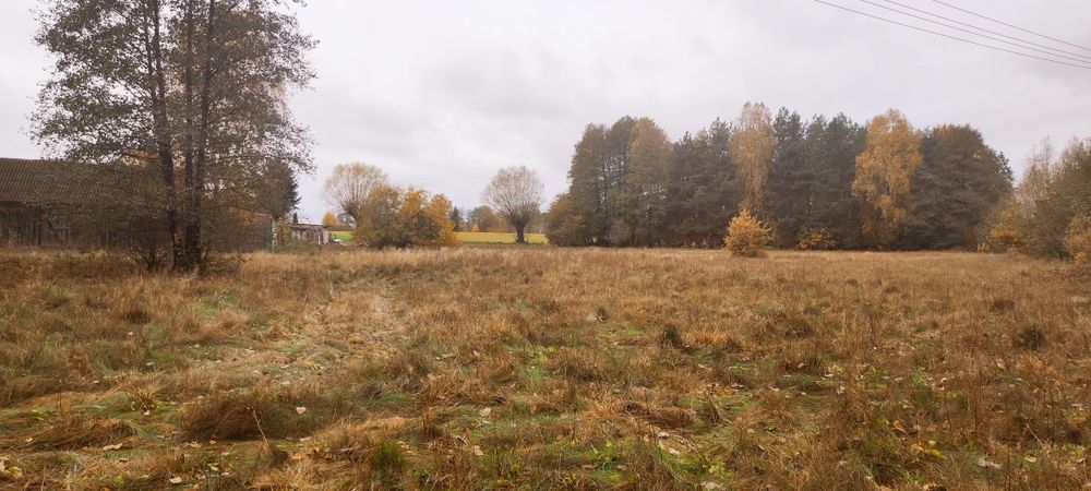 Sprzedam działkę budowlaną w Kozicach, gmina Garwolin, woj.mazowieckie