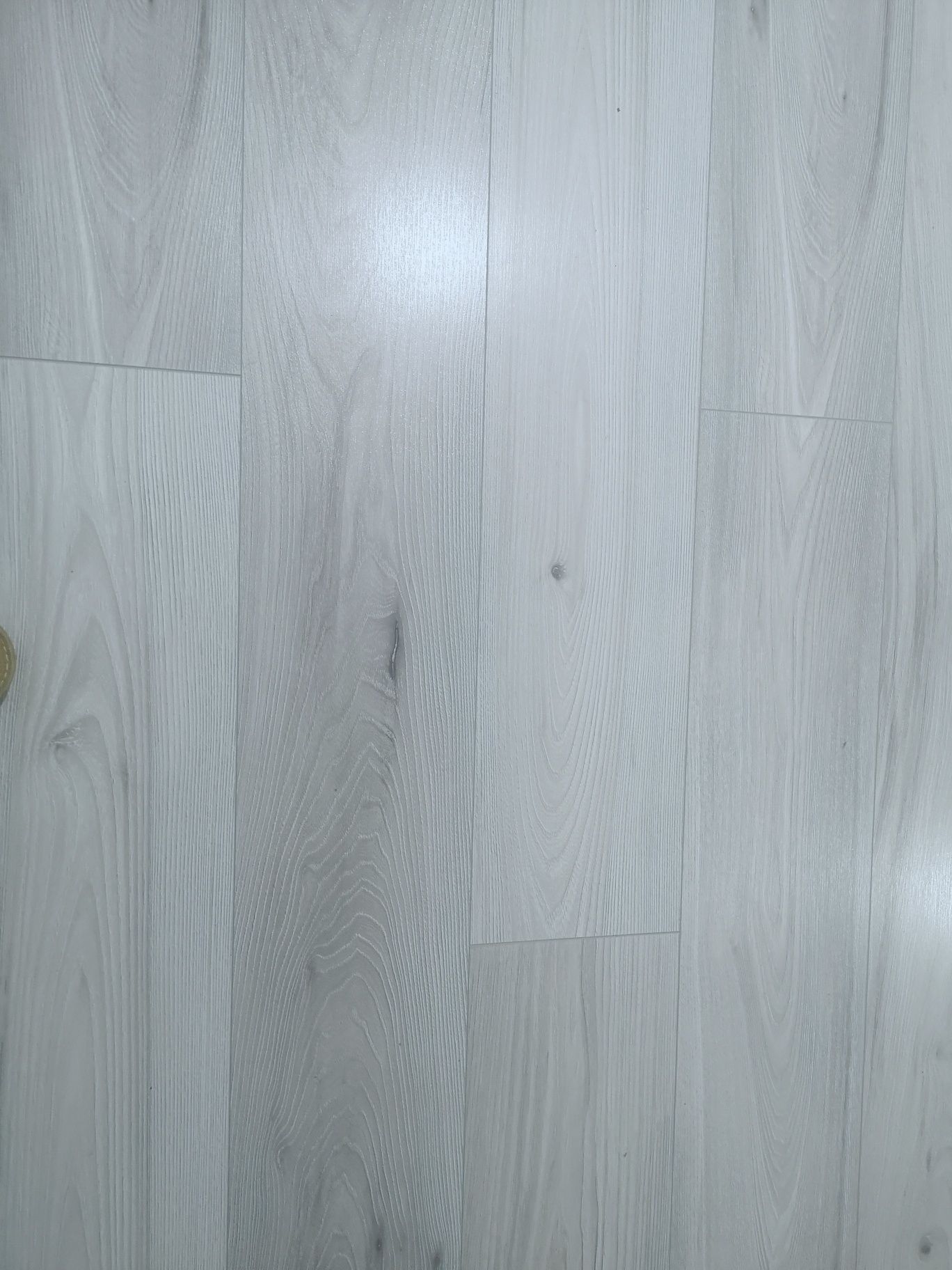 Panel podłogowy Wiąz Amaranta AC 8mm